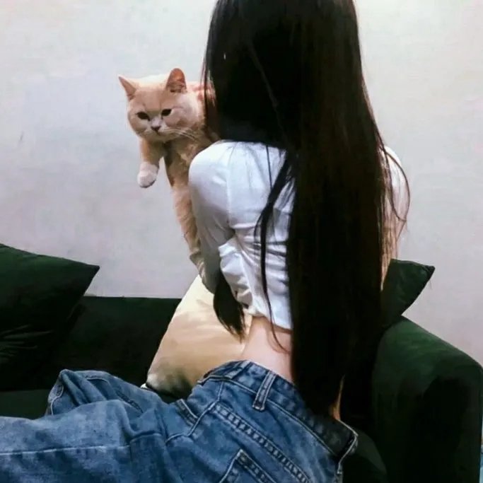 点与线之美